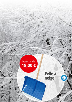 Pelles à neige